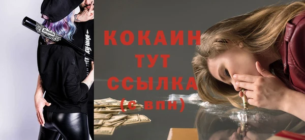 PSILOCYBIN Покров