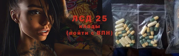 PSILOCYBIN Покров