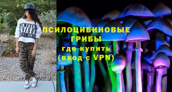 тгк Пестово