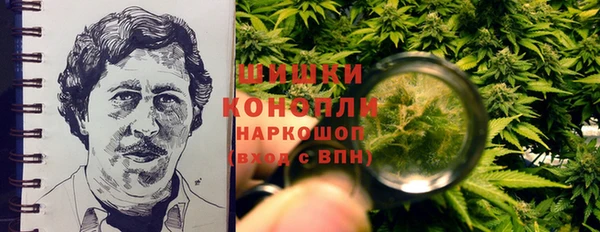 тгк Пестово