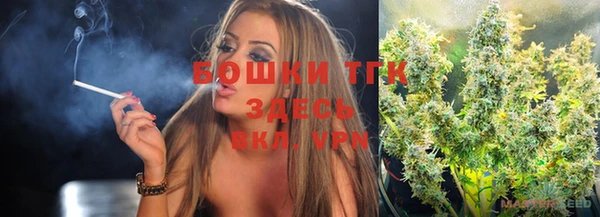 тгк Пестово