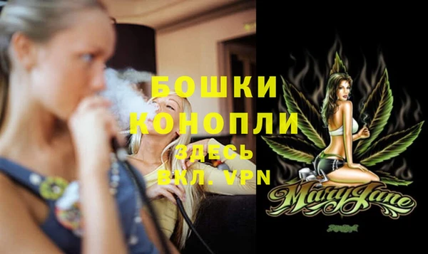 тгк Пестово