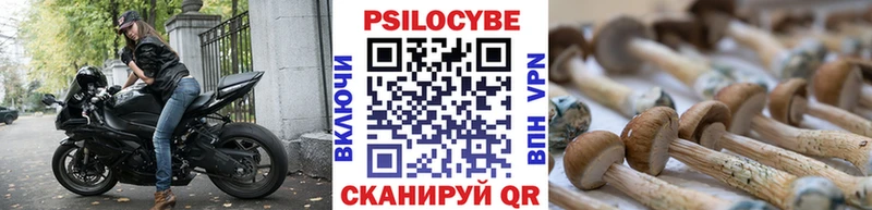 Галлюциногенные грибы Magic Shrooms  где купить   Пучеж 